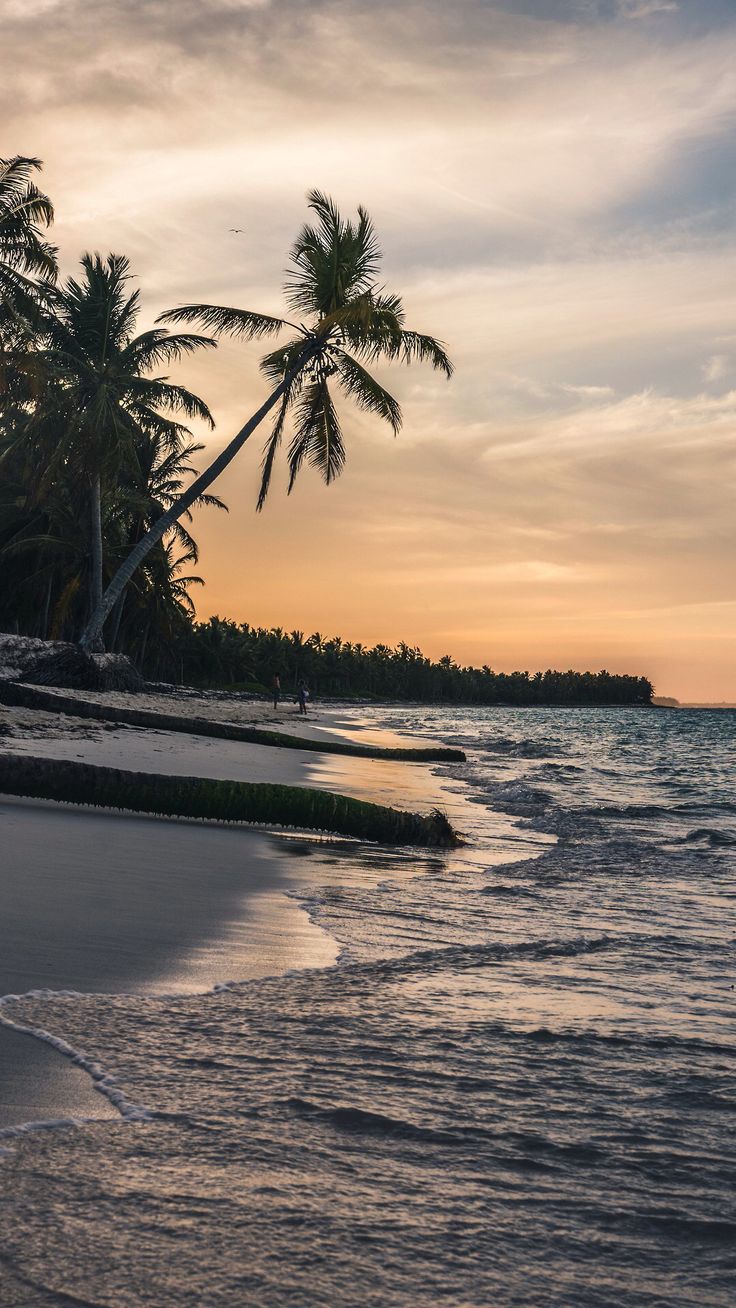 My Cab Varkala Vehicle